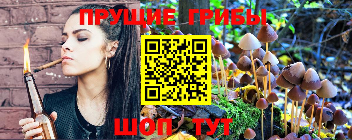 Псилоцибиновые грибы Psilocybine cubensis  Вход с VPN  Лянтор 